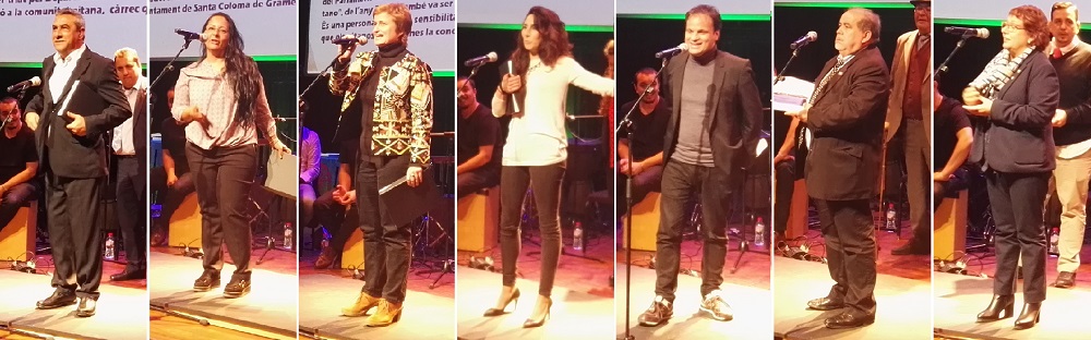 Celebración de la novena edición de los premios FAGiC